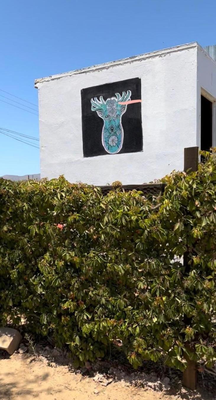 Heart Of Ruta Del Vino, Cozy Casitas Pan Y Vino! Hotel Valle de Guadalupe Ngoại thất bức ảnh